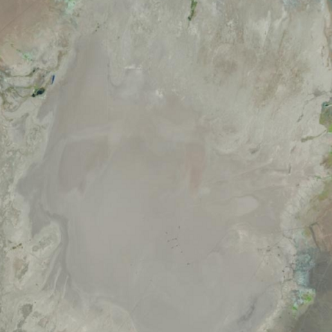 Landsat 8 LandsatLook Image Zoom of Railroad Valley Playa ROI