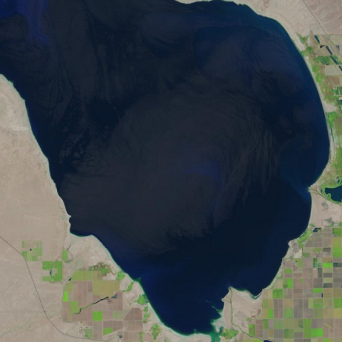 Landsat 8 LandsatLook Image Zoom of Salton Sea ROI