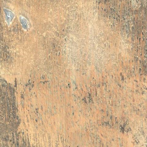 Google Earth Image centered on Tinga Tingana ROI